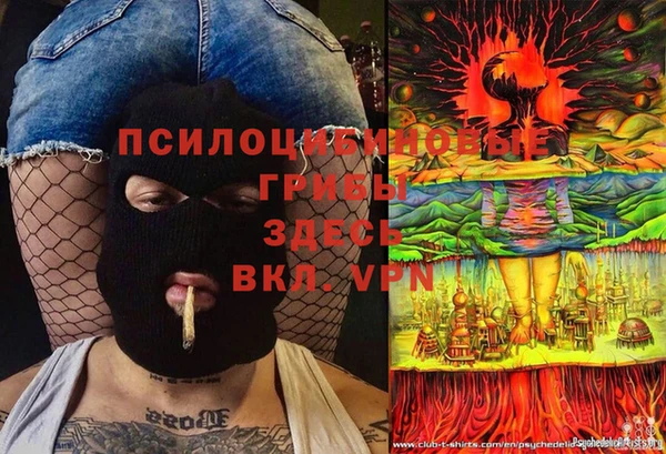 дмт Беломорск