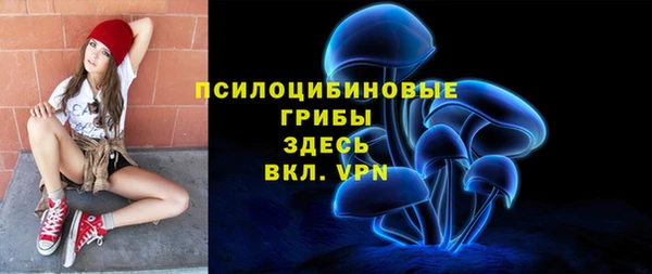 гашик Белоозёрский