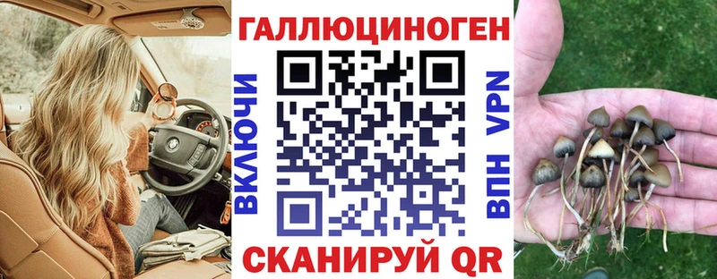 Псилоцибиновые грибы мицелий  Баймак 